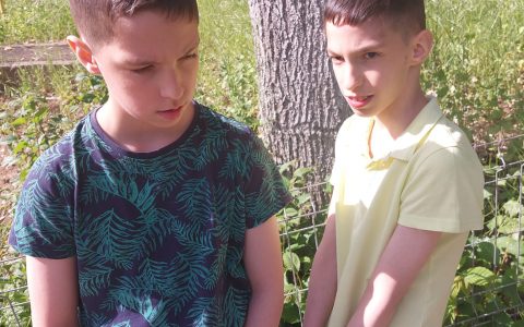 Asociatia Edi si Vlad